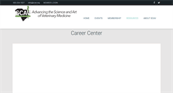 Desktop Screenshot of careers.scav.org